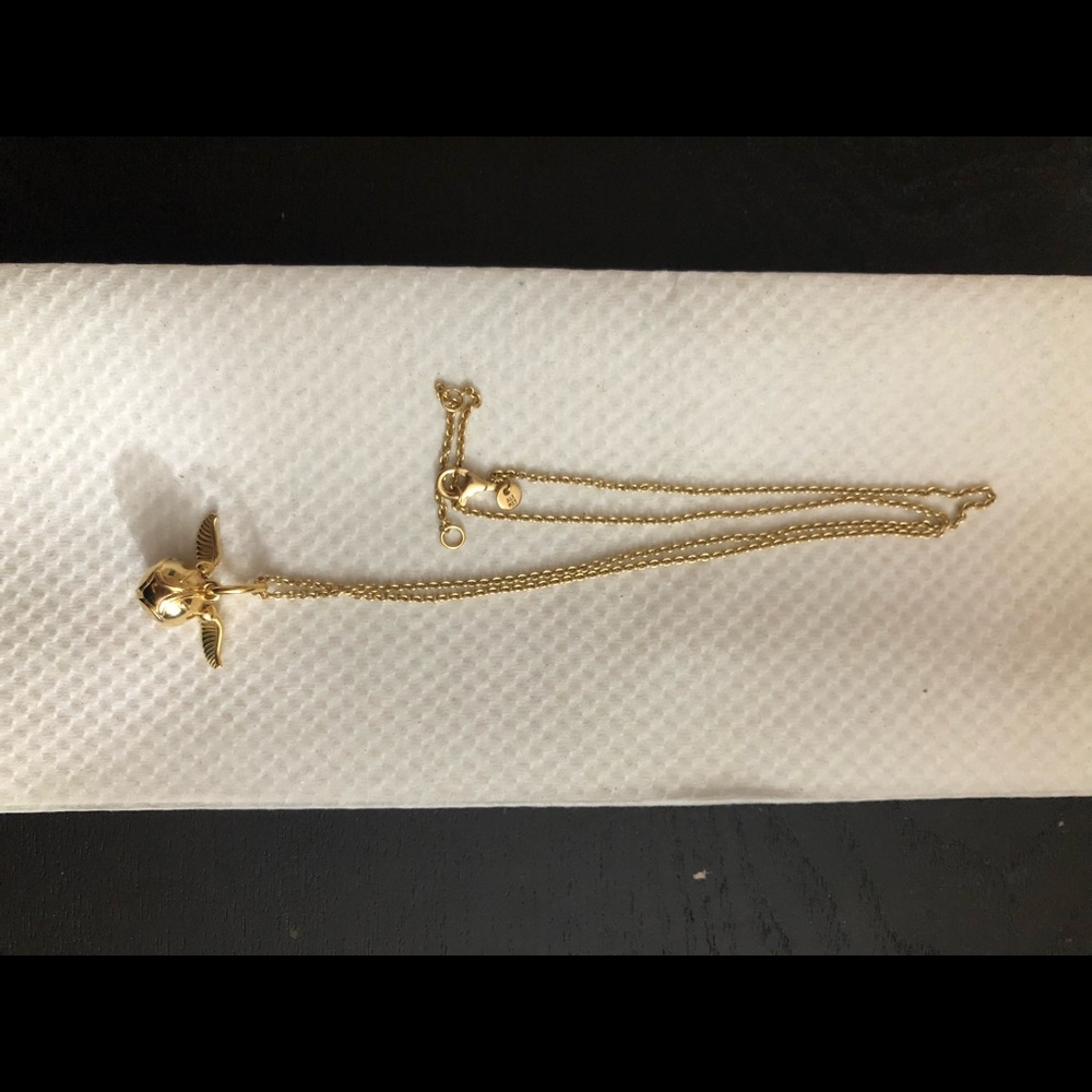Golden snitch